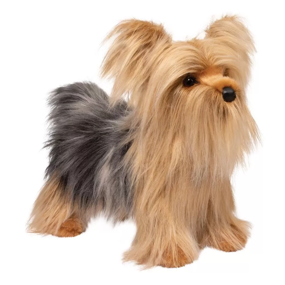 Shop Brenton Yorkie Dogs