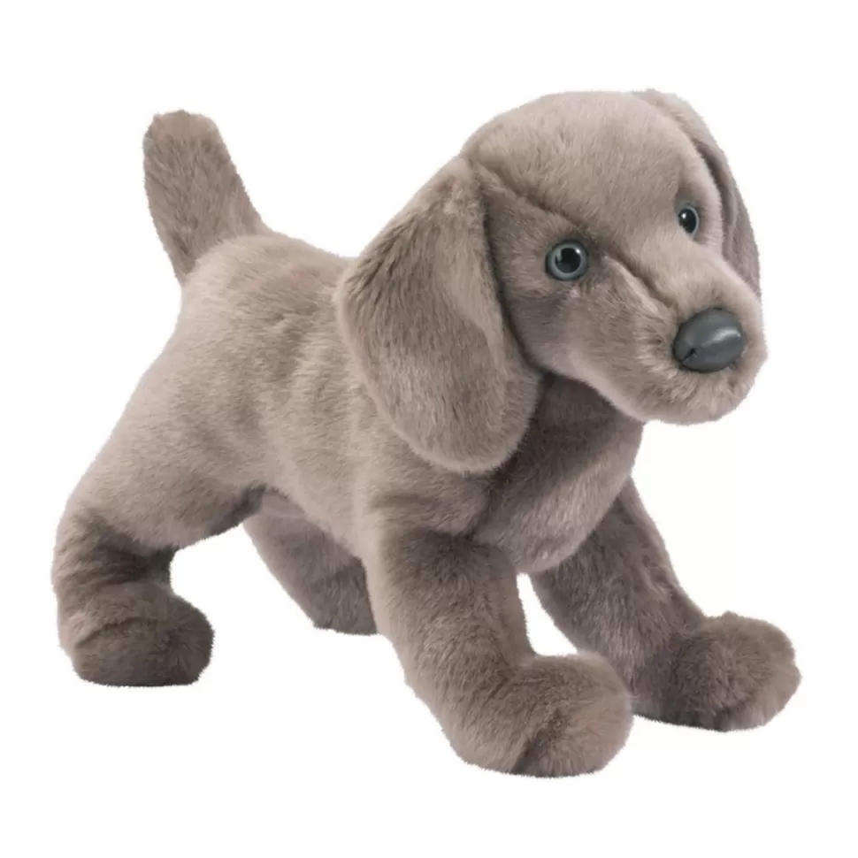 Cheap Cassie Weimaraner Dogs