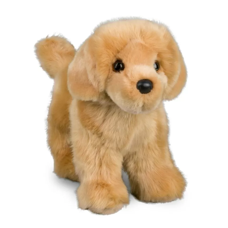 Cheap Chap Golden Retriever Dogs