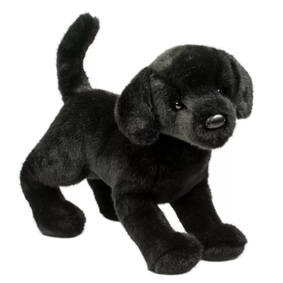 New Chester Black Lab Dogs