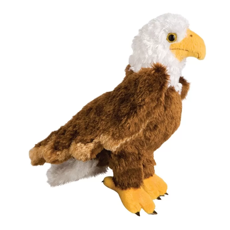 Best Colbert Eagle Wildlife