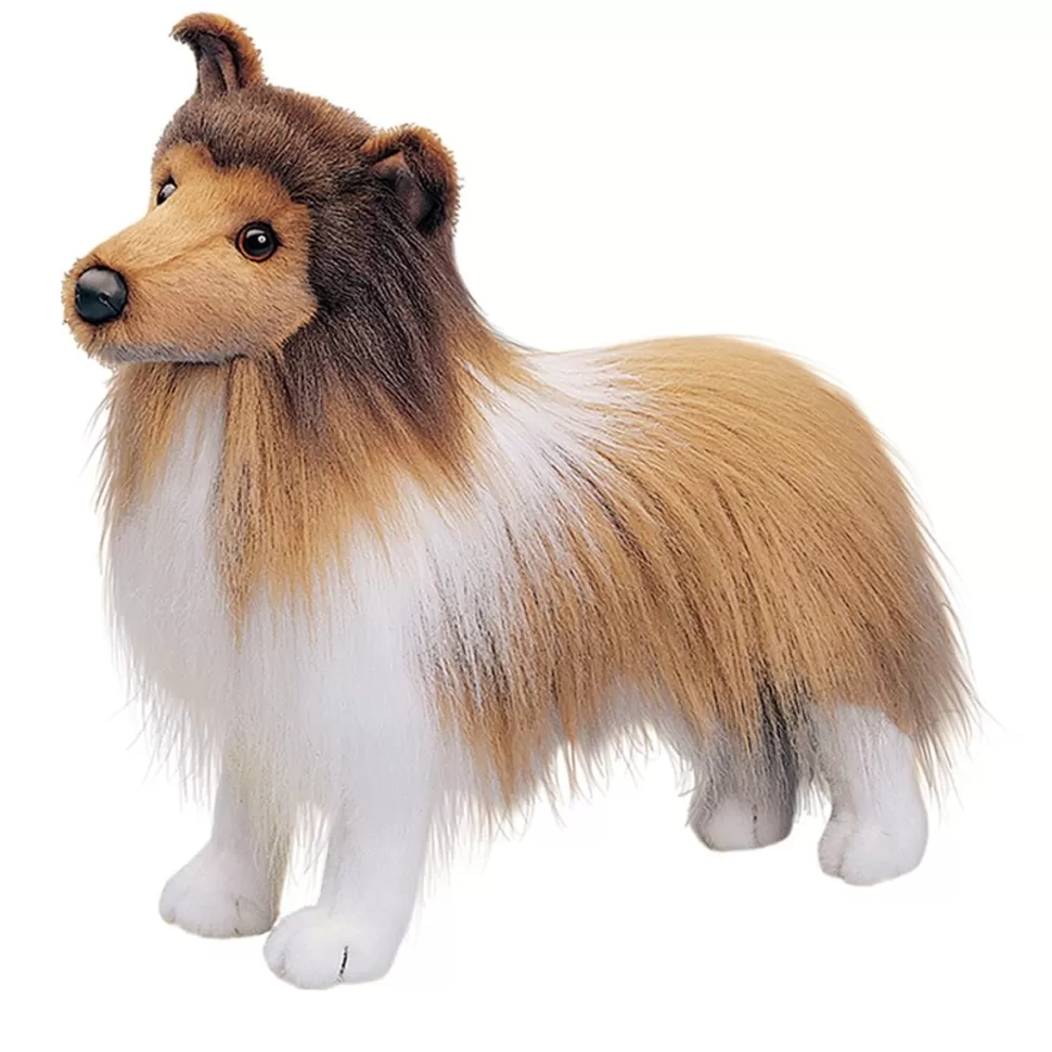 Best Dixie Sheltie Dogs