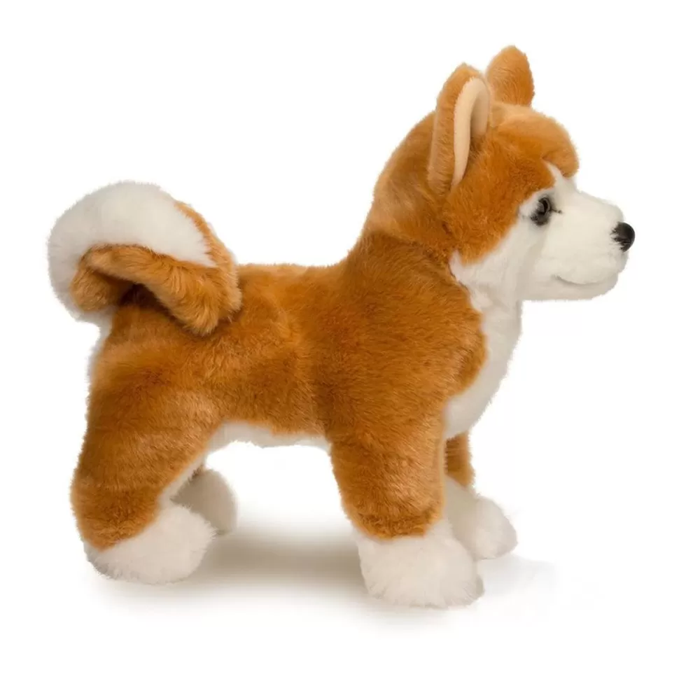 New Dunham Shiba Inu Dogs