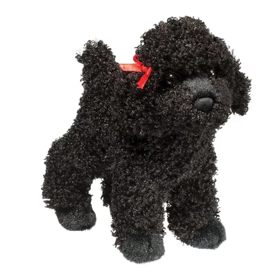 Best Gigi Black Poodle Dogs