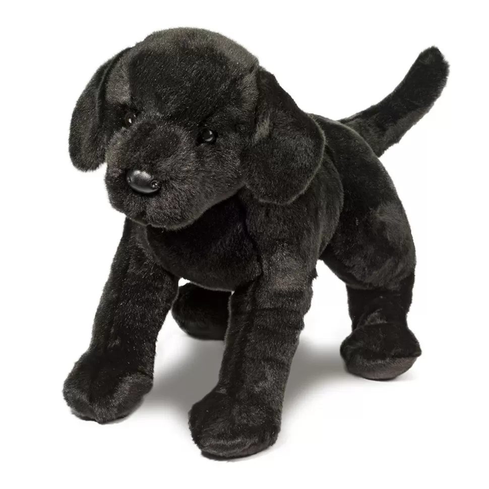 Sale James Black Lab Dogs