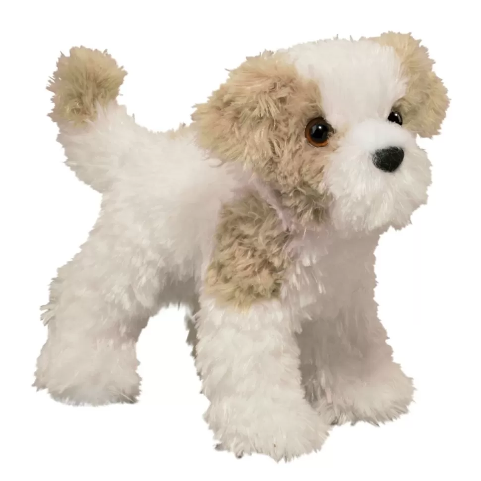 Best Jolly Maltipoo Dogs