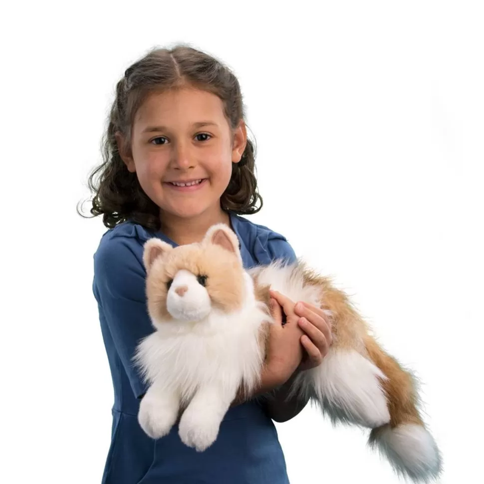 New Kiki Ragdoll Cat Cats