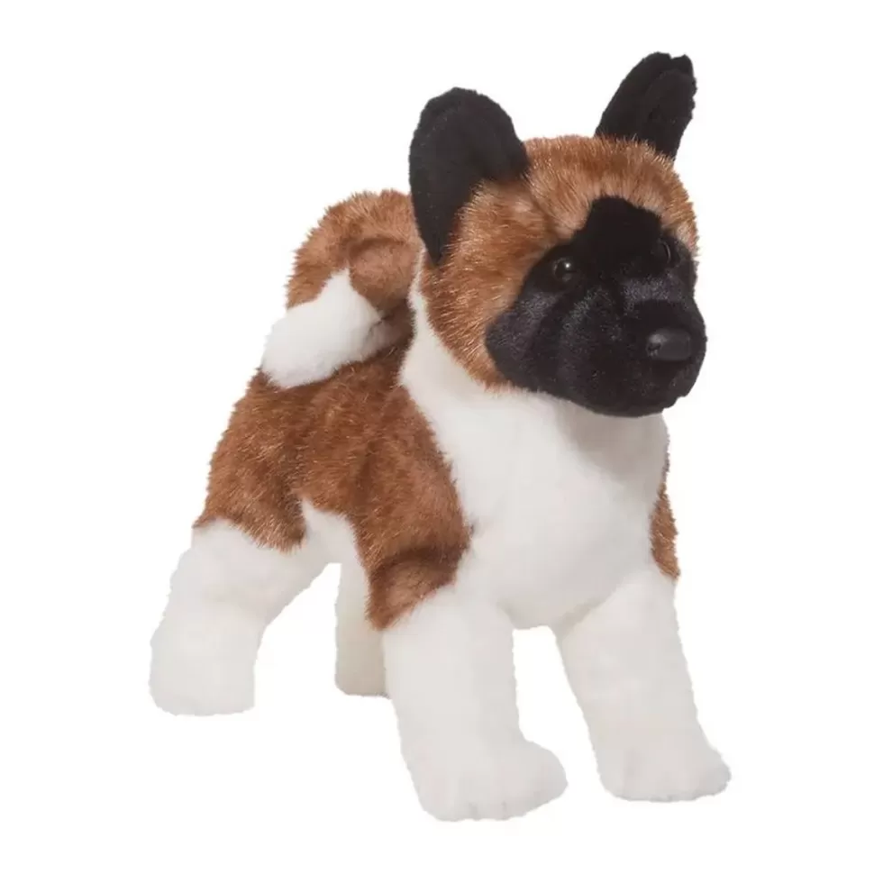 Best Kita Akita Dogs