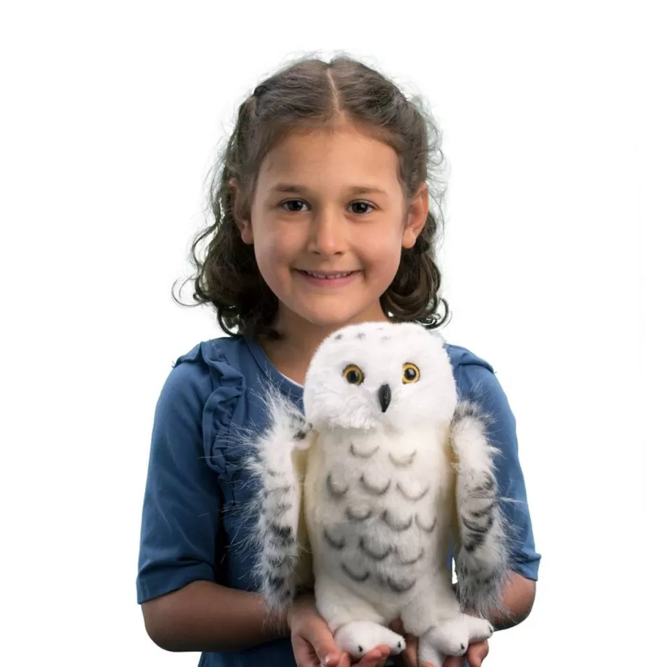 Store Legend Snowy Owl Wildlife