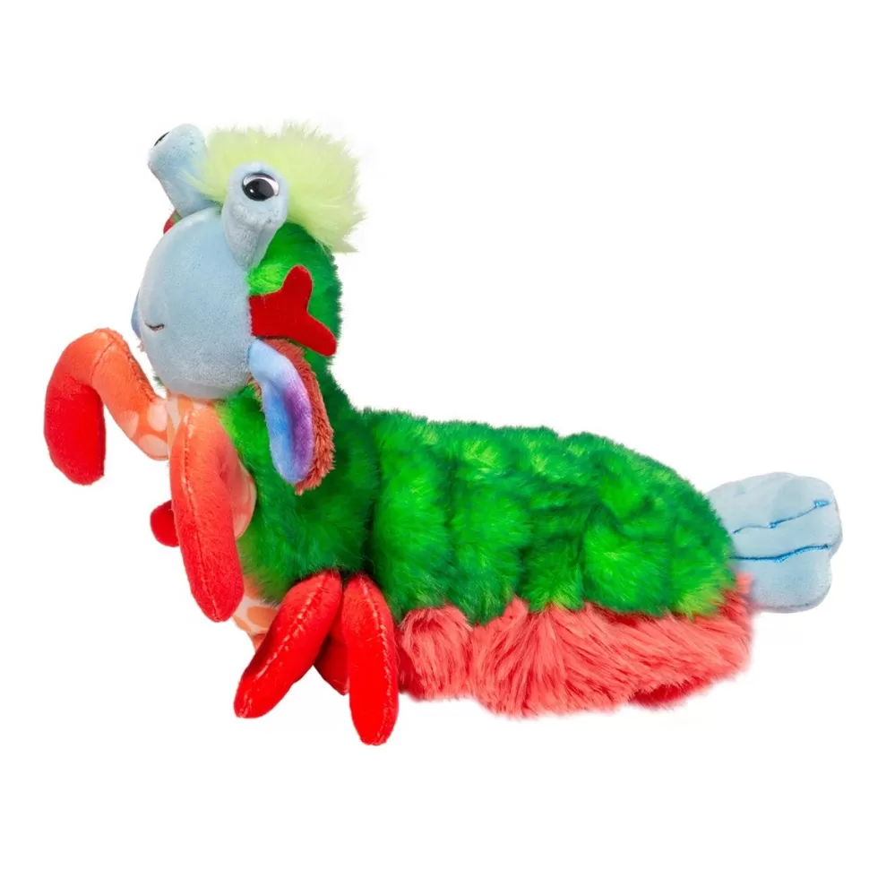 Cheap Punchie Peacock Mantis Shrimp Sea Life