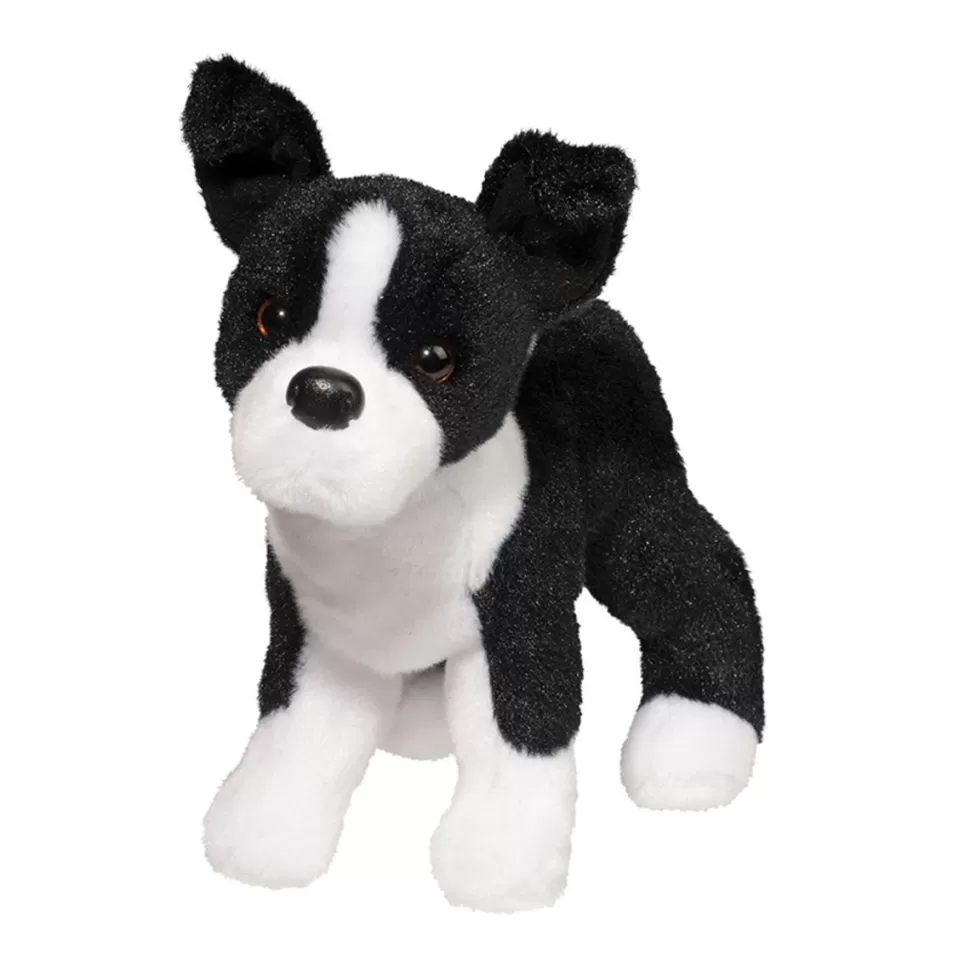 Online Quincy Boston Terrier Dogs