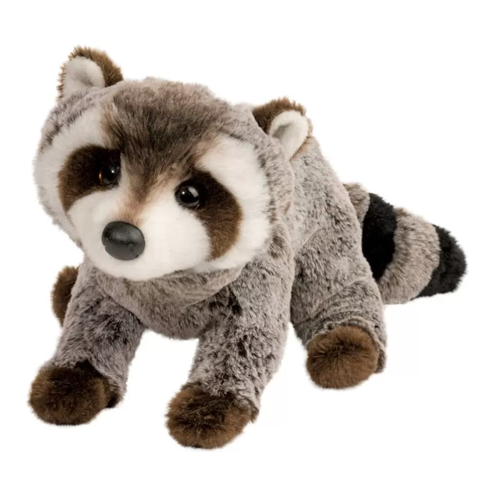 New Ringo Raccoon Wildlife