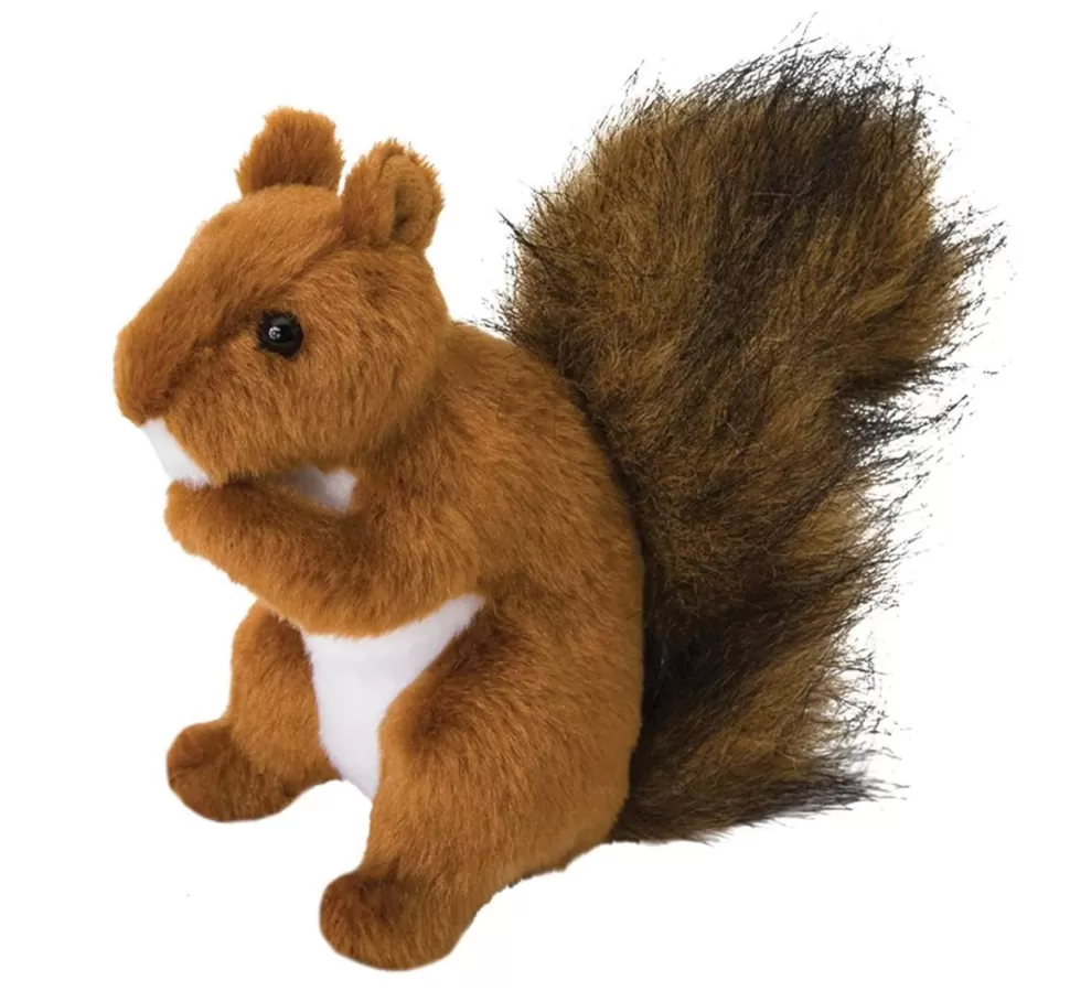 Hot Roadie Red Squirrel Wildlife