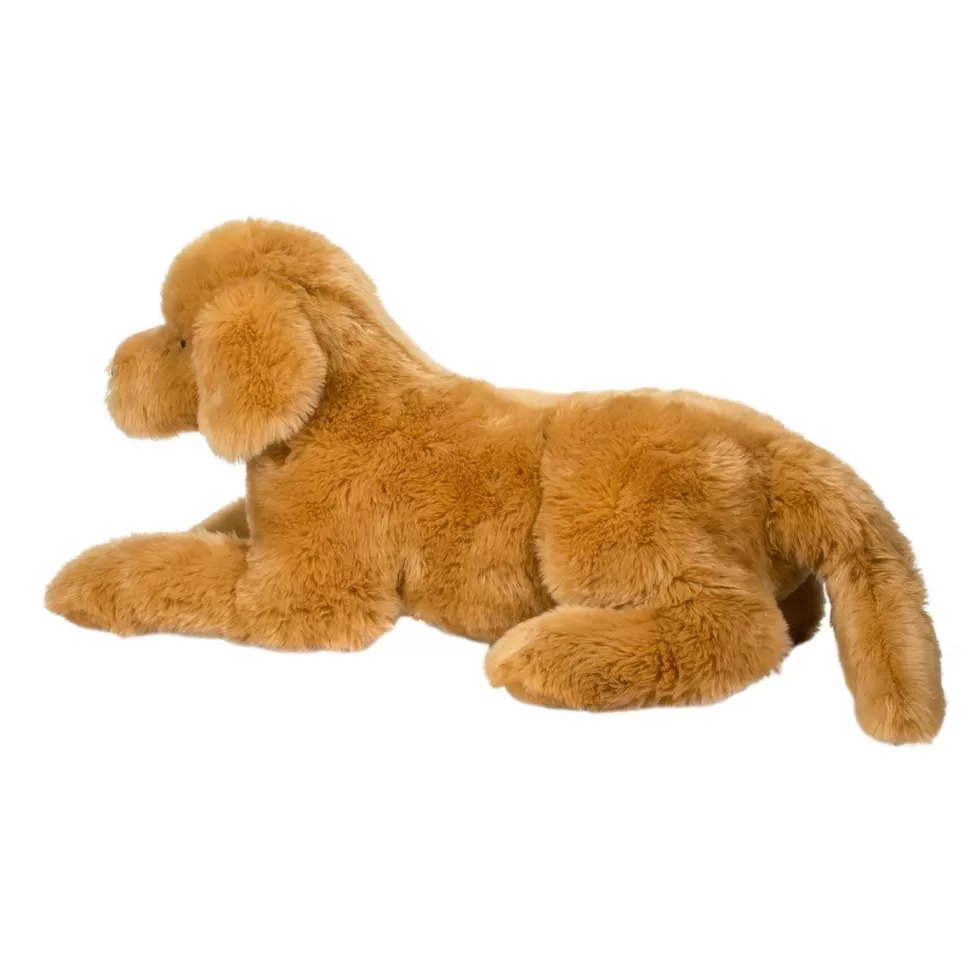 Hot Sherman Golden Retriever, Medium Dogs