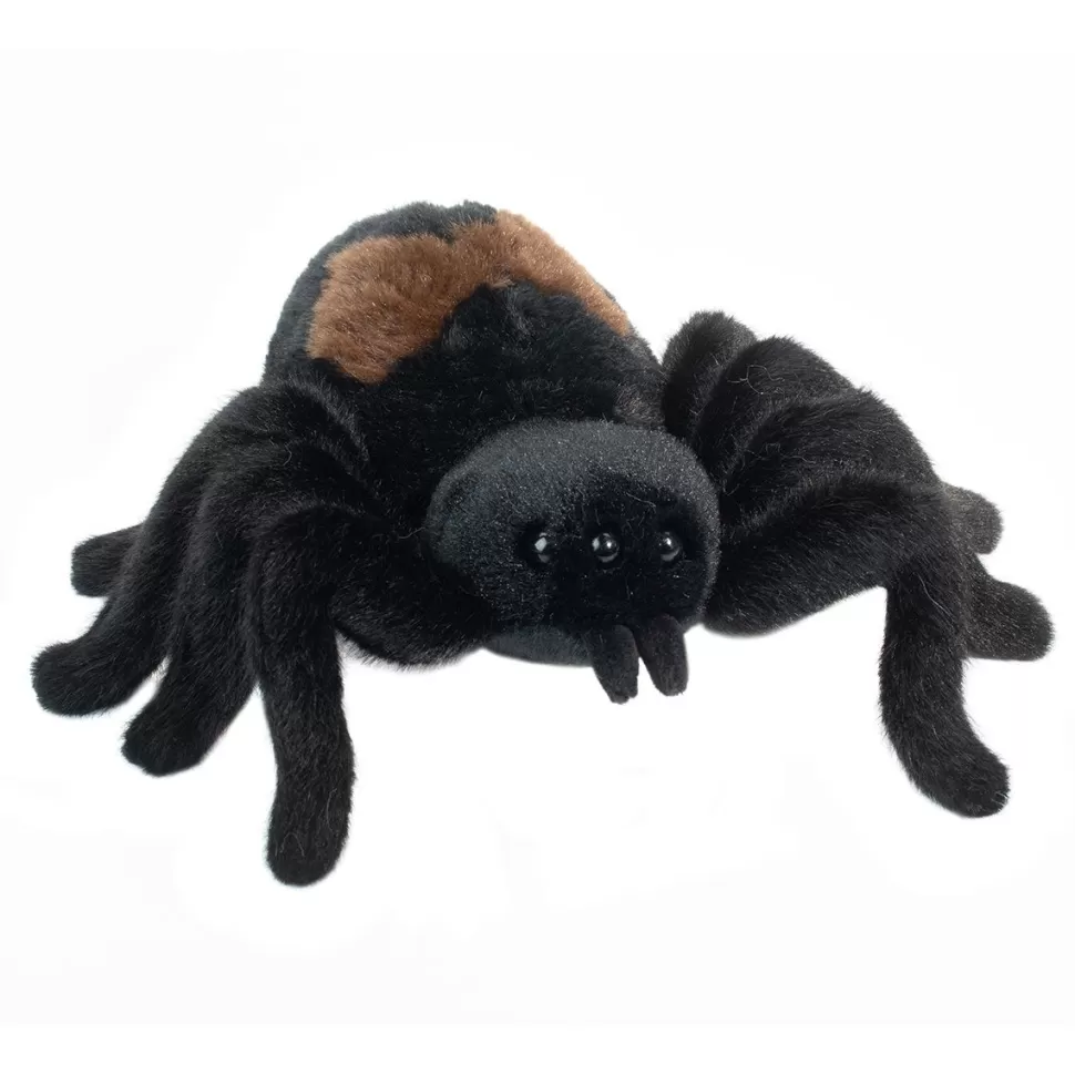 Shop Sneakie Soft Spider Wildlife