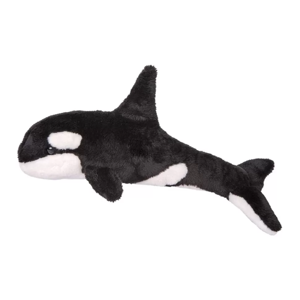 Sale Spout Orca Whale Sea Life