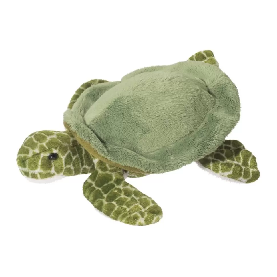 Best Tillie Sea Turtle Sea Life