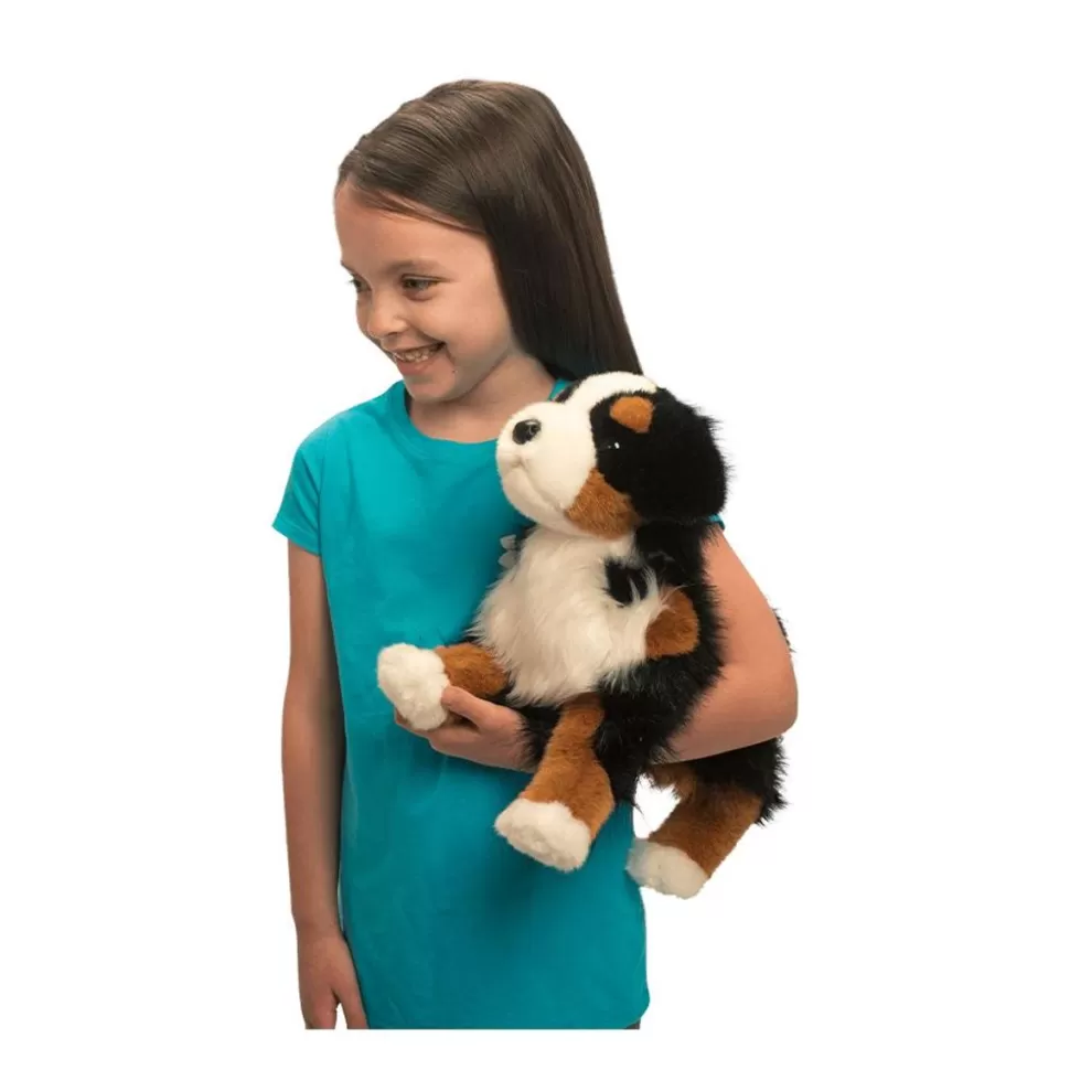 Cheap Trevor Bernese Mountain Dog Dogs