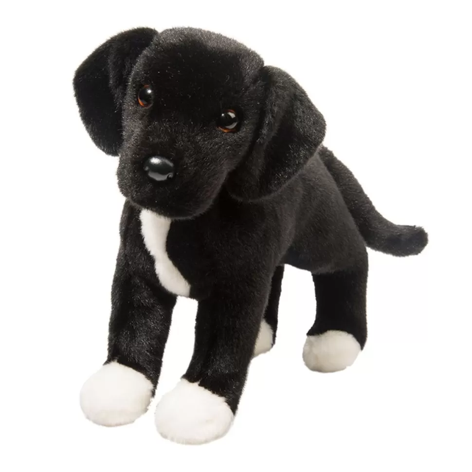 Discount Twister Black Lab/Pit Bull Mix Dogs