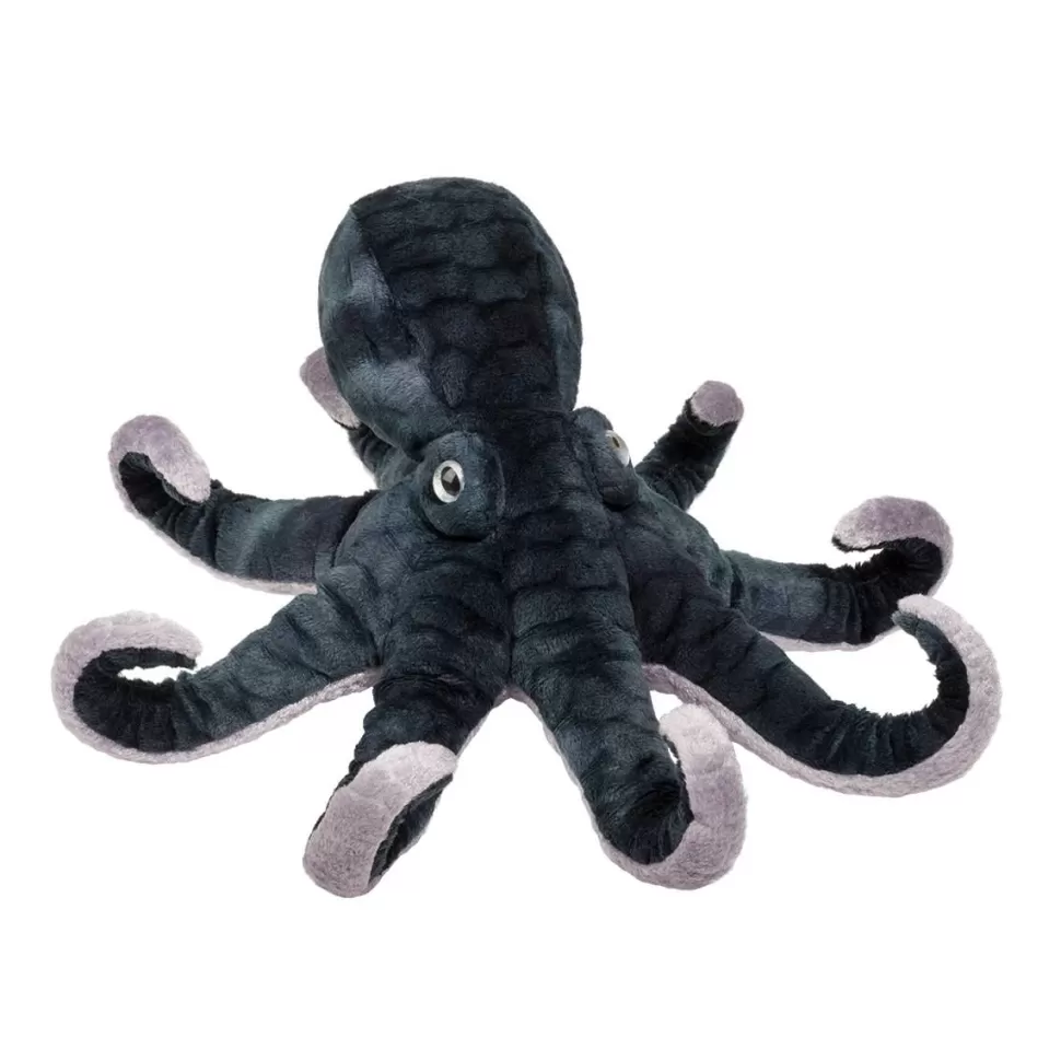 Cheap Winky Octopus Sea Life