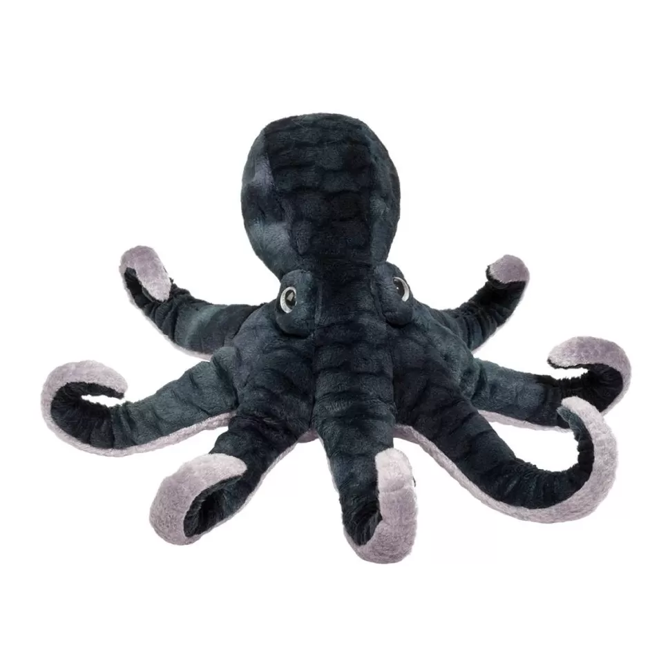 Cheap Winky Octopus Sea Life