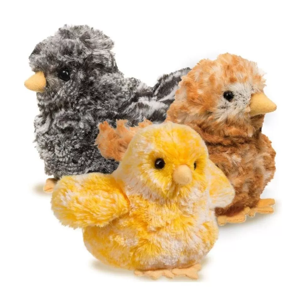 Sale Yellow Multi Chick Farm